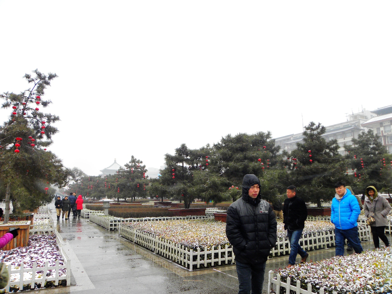 DSCN2290.JPG