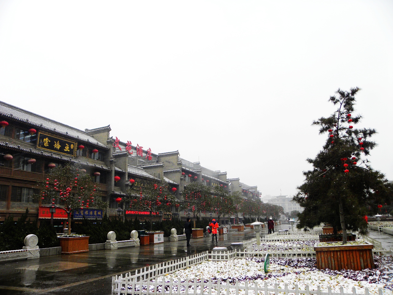 DSCN2291.JPG