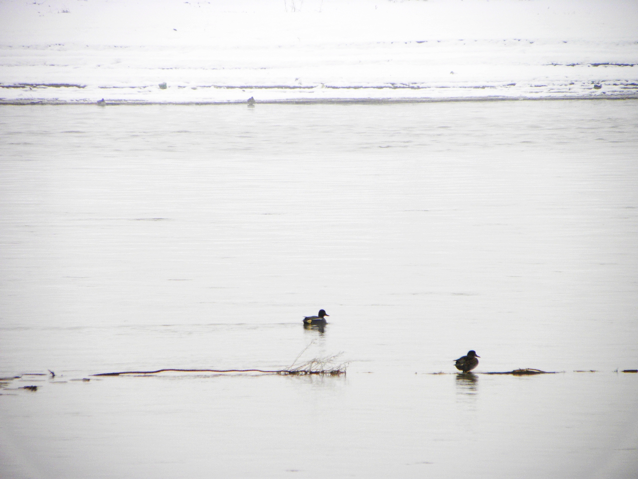 DSCN4635.JPG