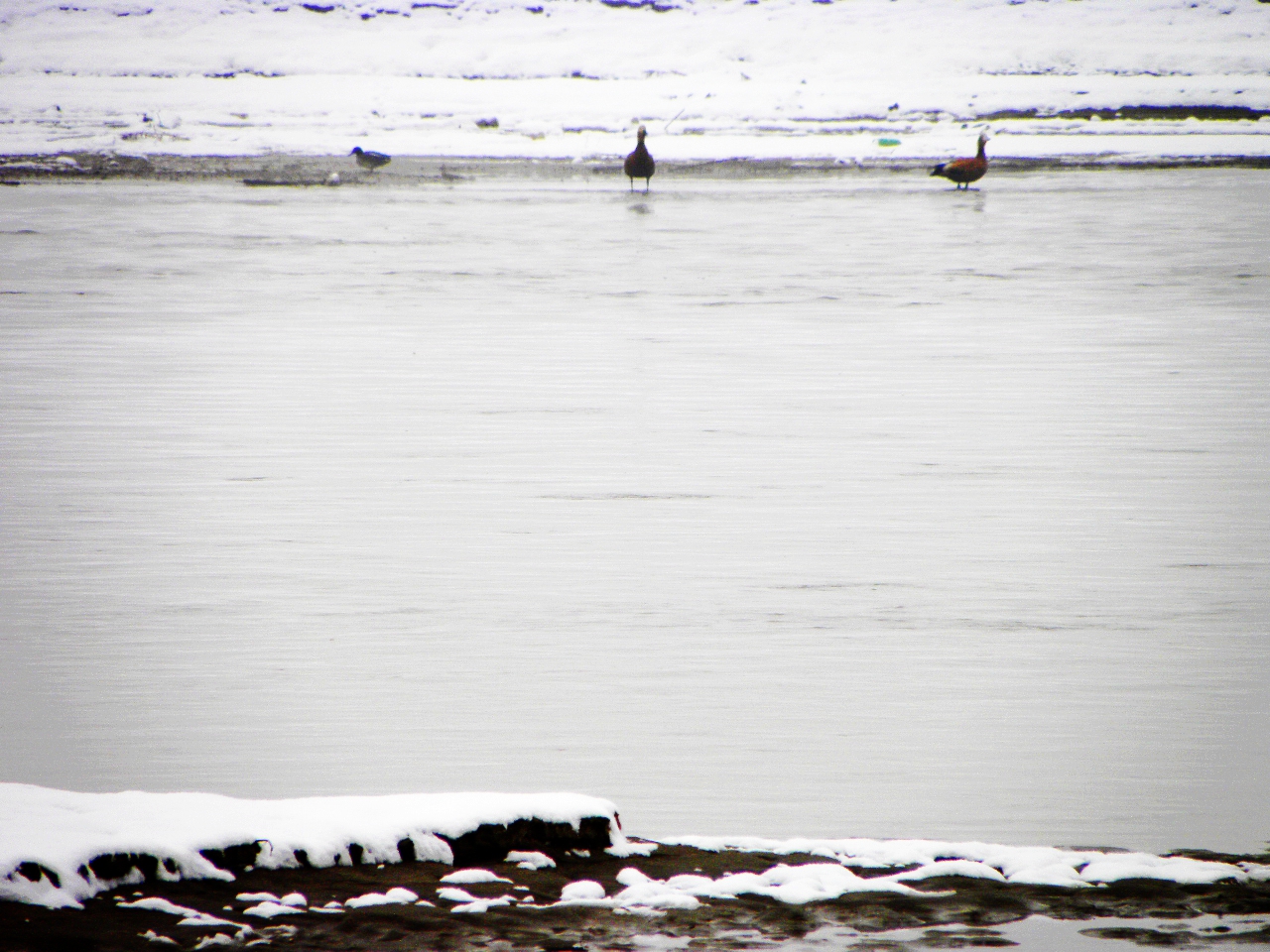 DSCN4644.JPG