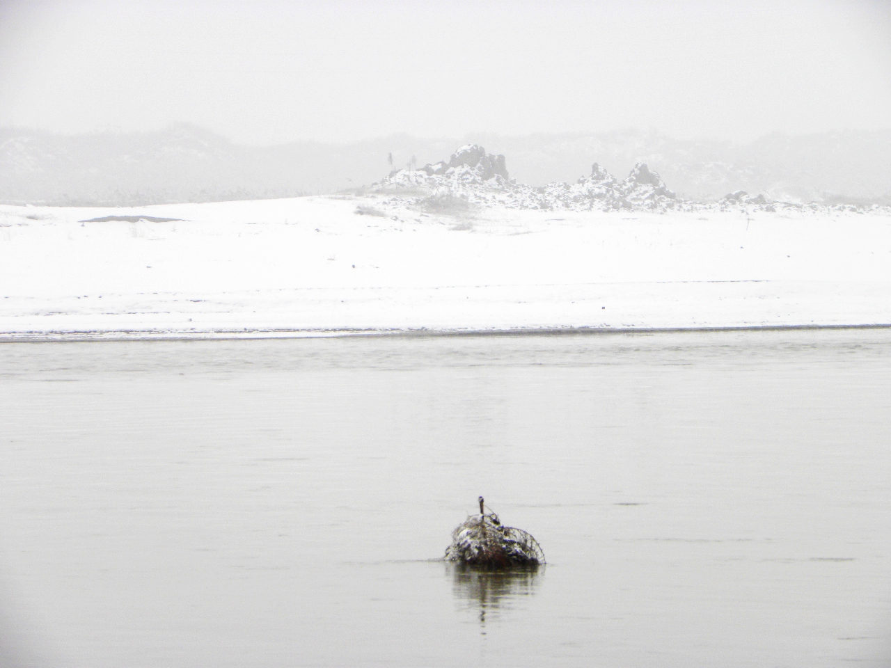 DSCN4659.JPG