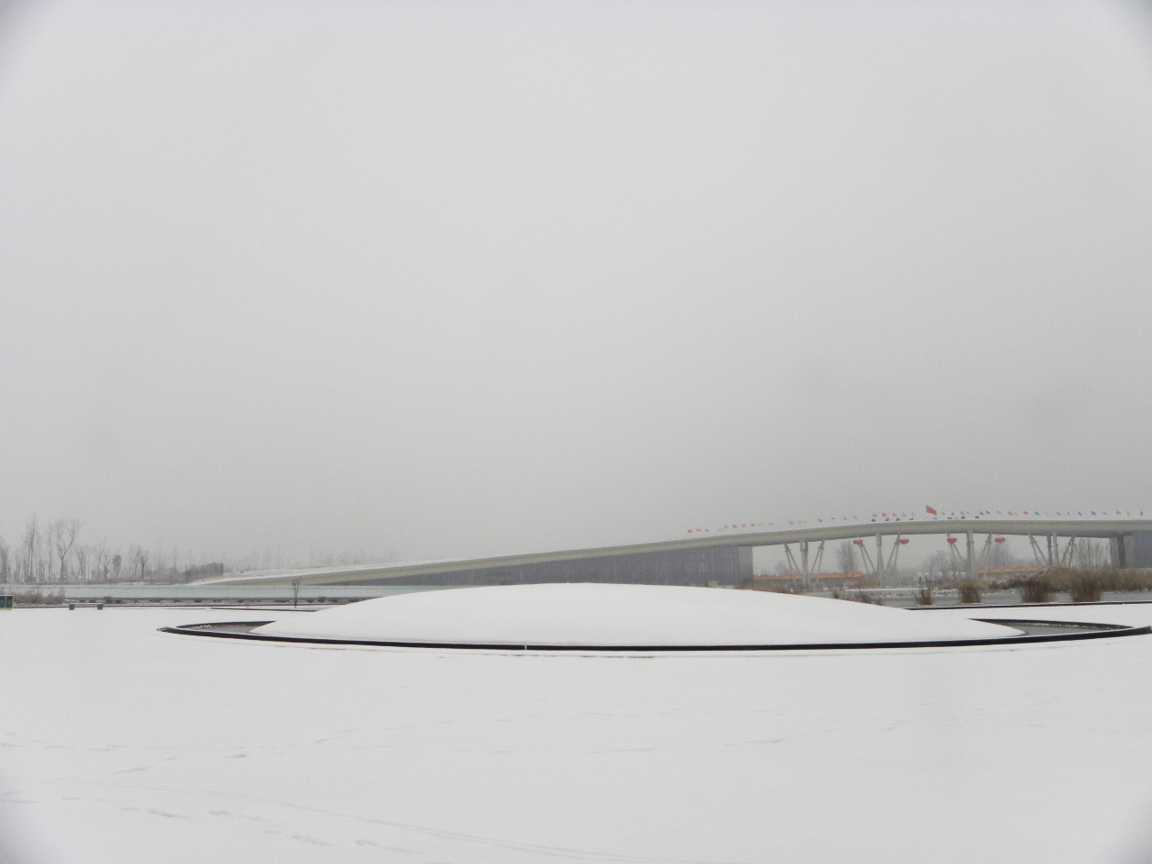 DSCN4472.JPG