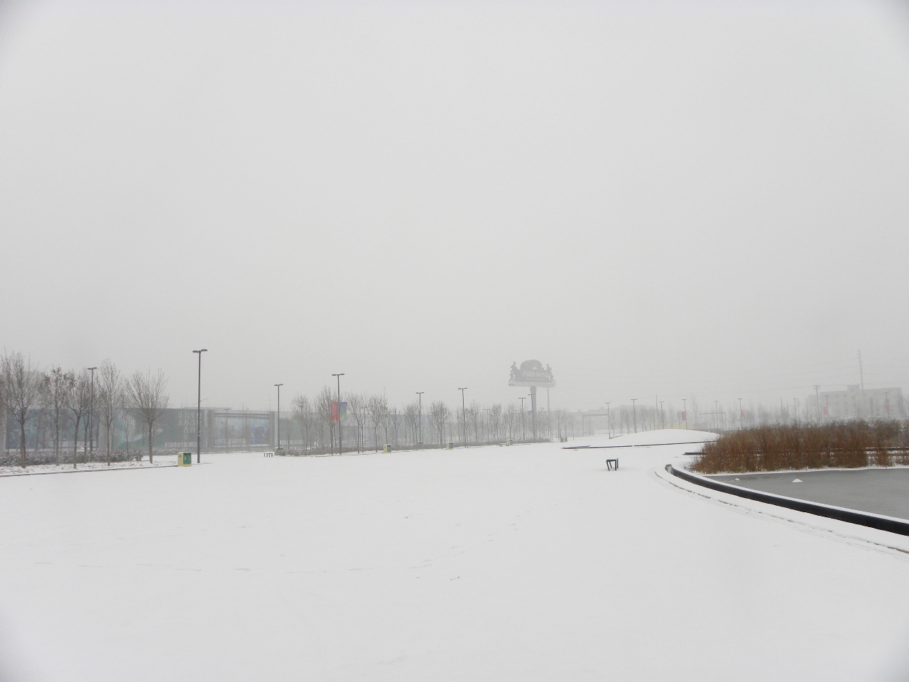 DSCN4495.JPG