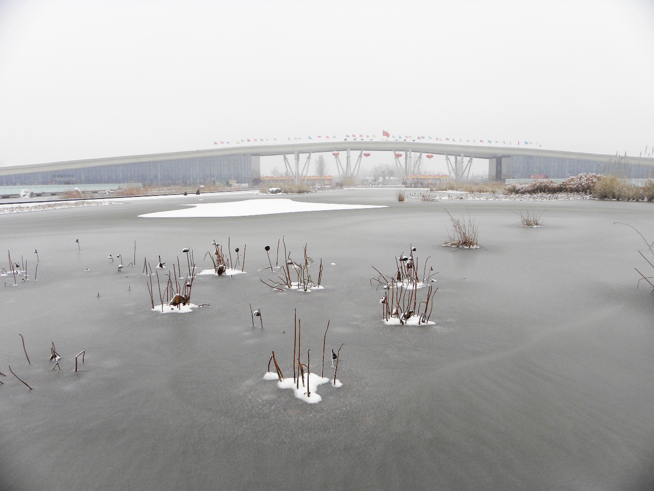 DSCN4464.JPG