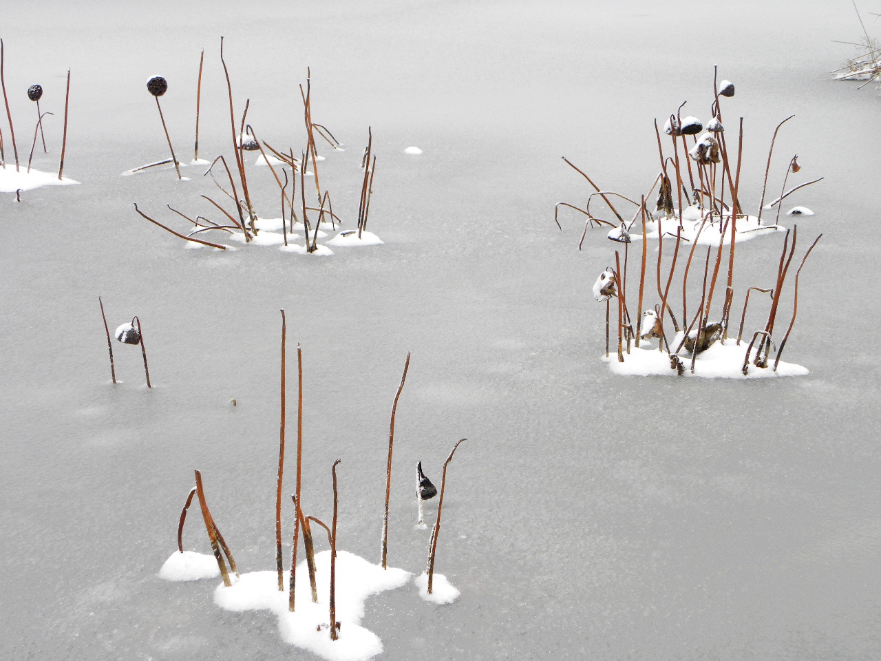 DSCN4465.JPG