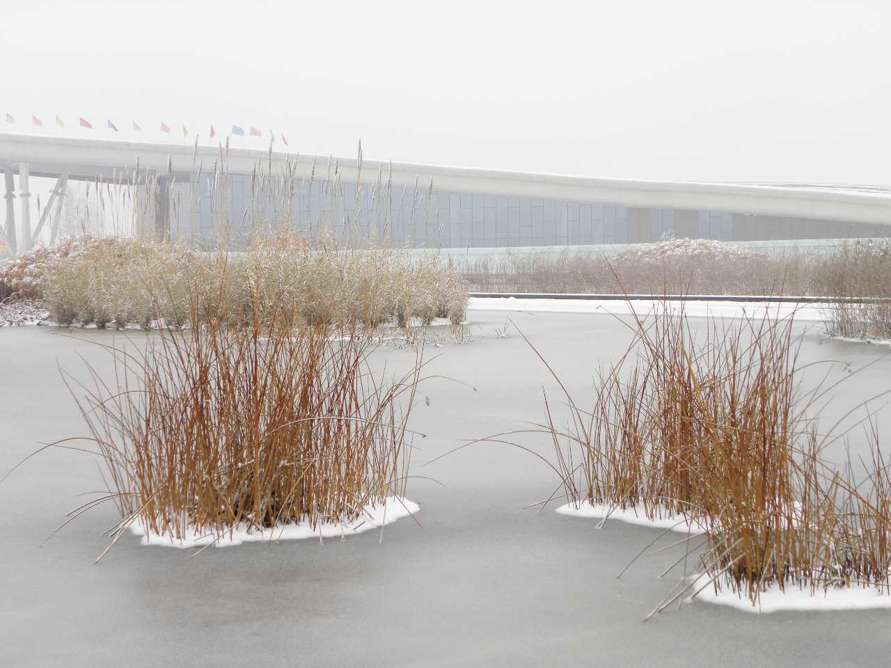 DSCN4470.JPG