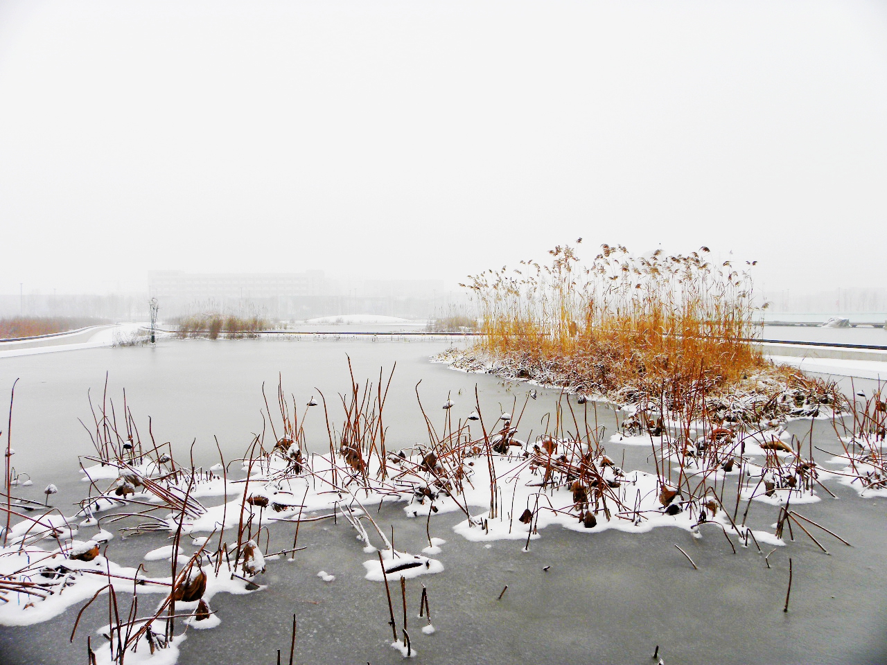 DSCN4518.JPG