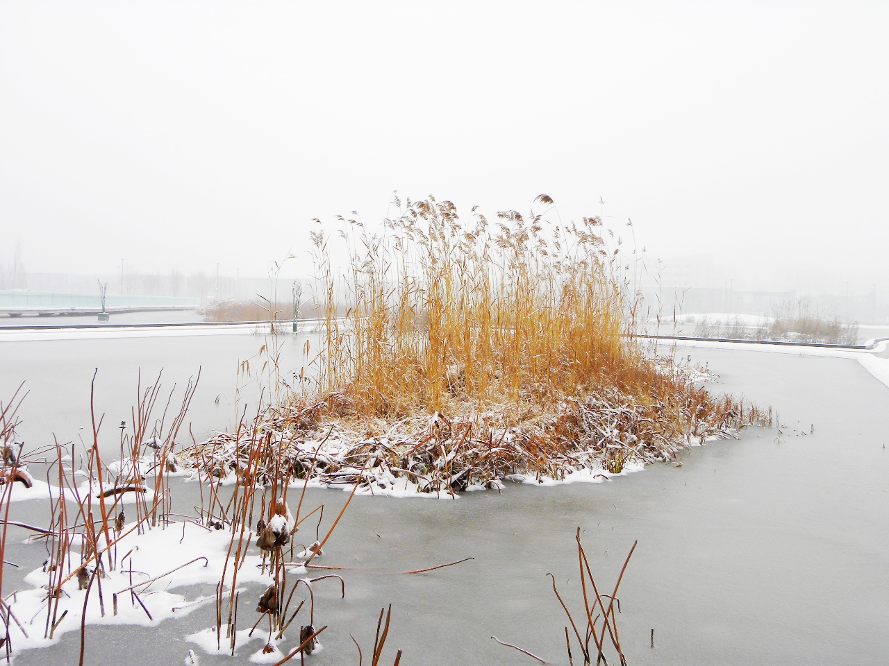 DSCN4525.JPG
