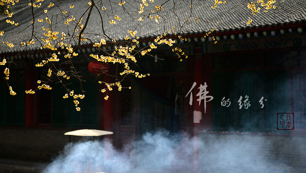 佛的缘分.jpg