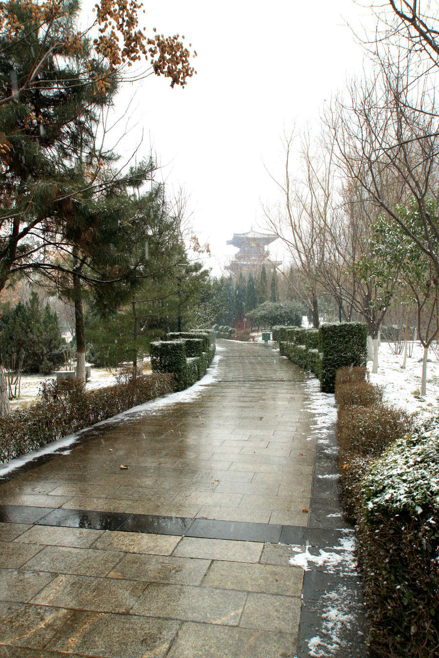 _MG_6877.jpg