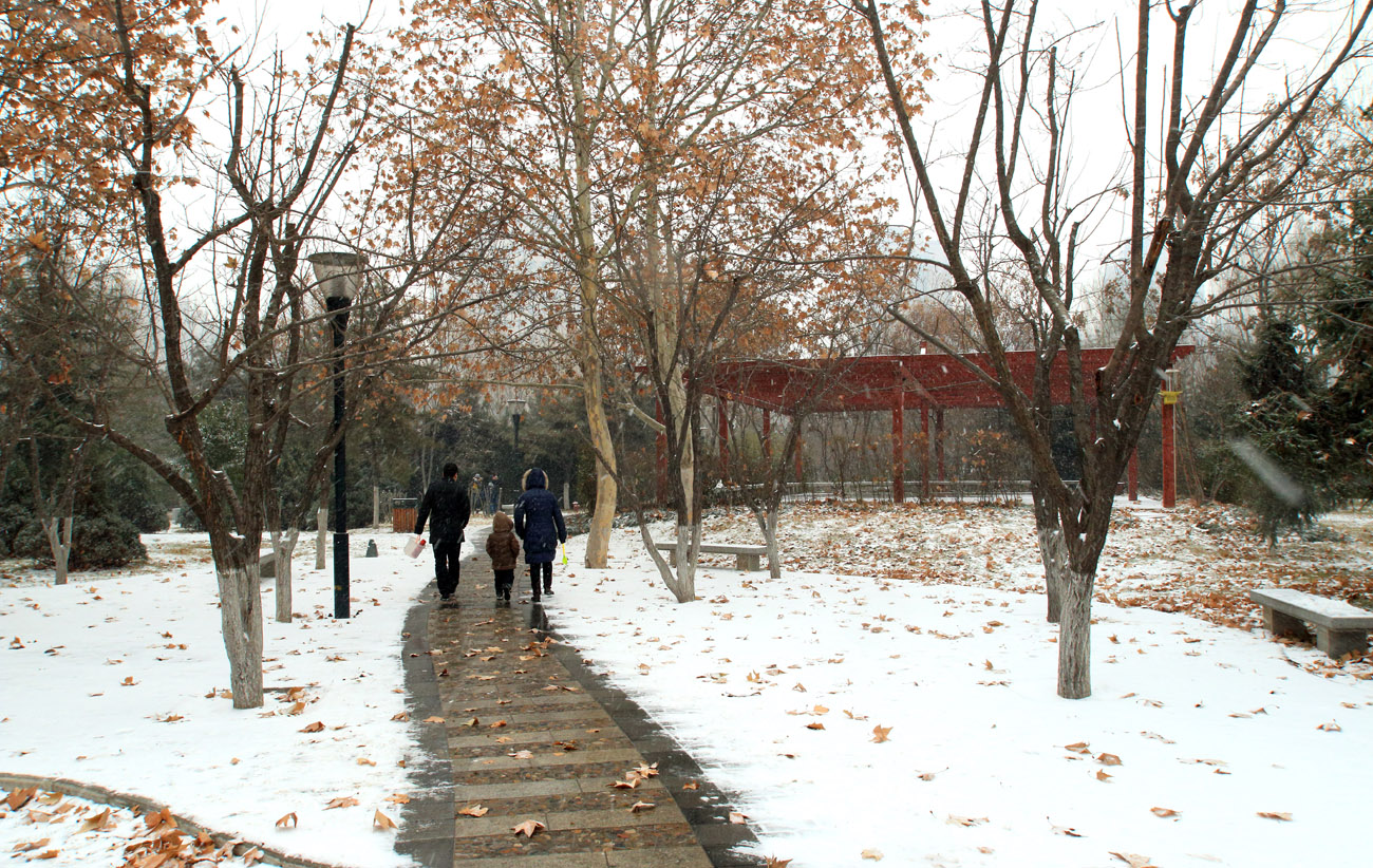 _MG_6894.jpg