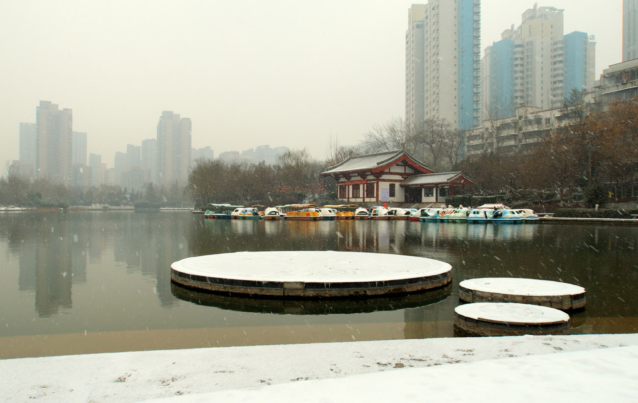 _MG_6965.jpg