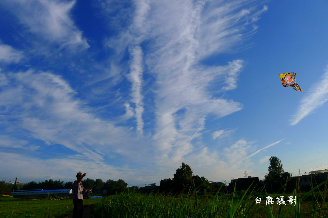 P1210528_副本_副本.jpg