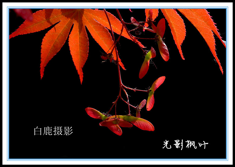 P1160998_副本.jpg