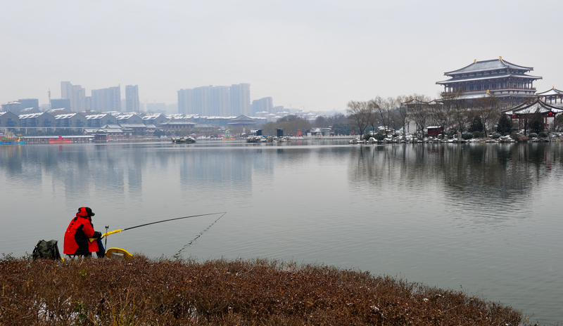 DSC_6899.jpg