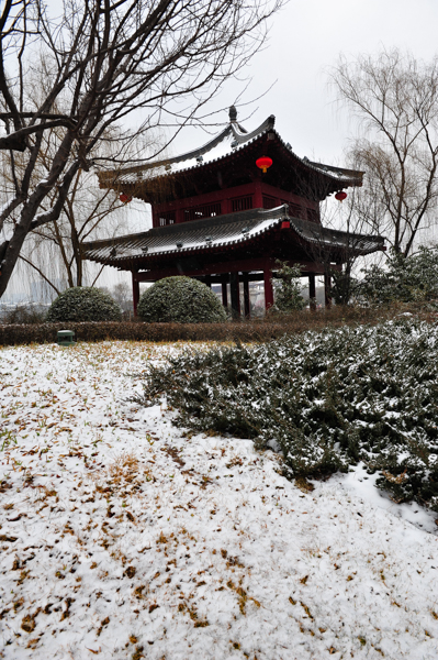 DSC_6900.jpg