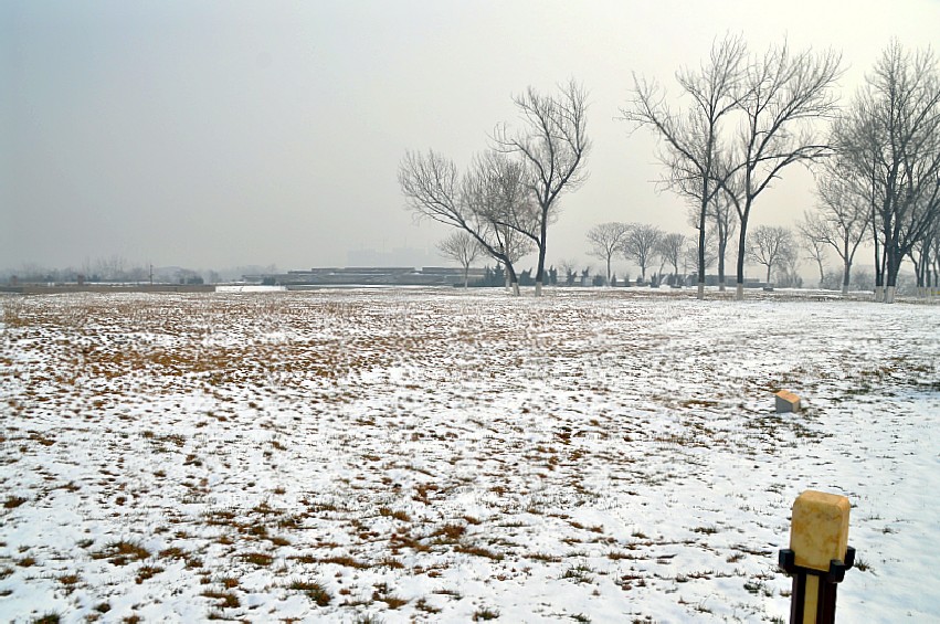 DSC_0096_conew1.jpg