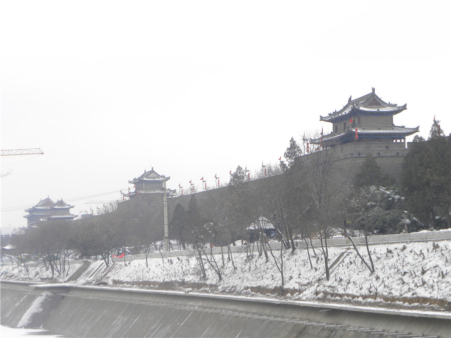 DSCN5049.jpg