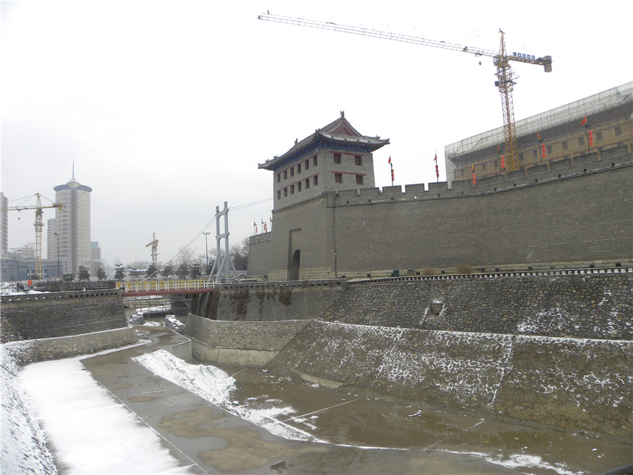 DSCN5061.jpg