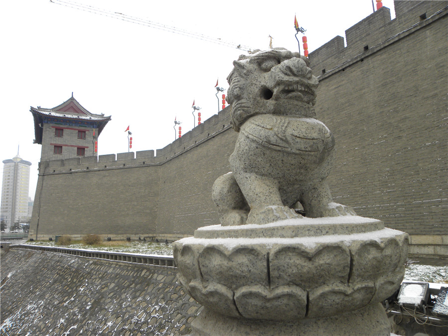 DSCN5069.jpg