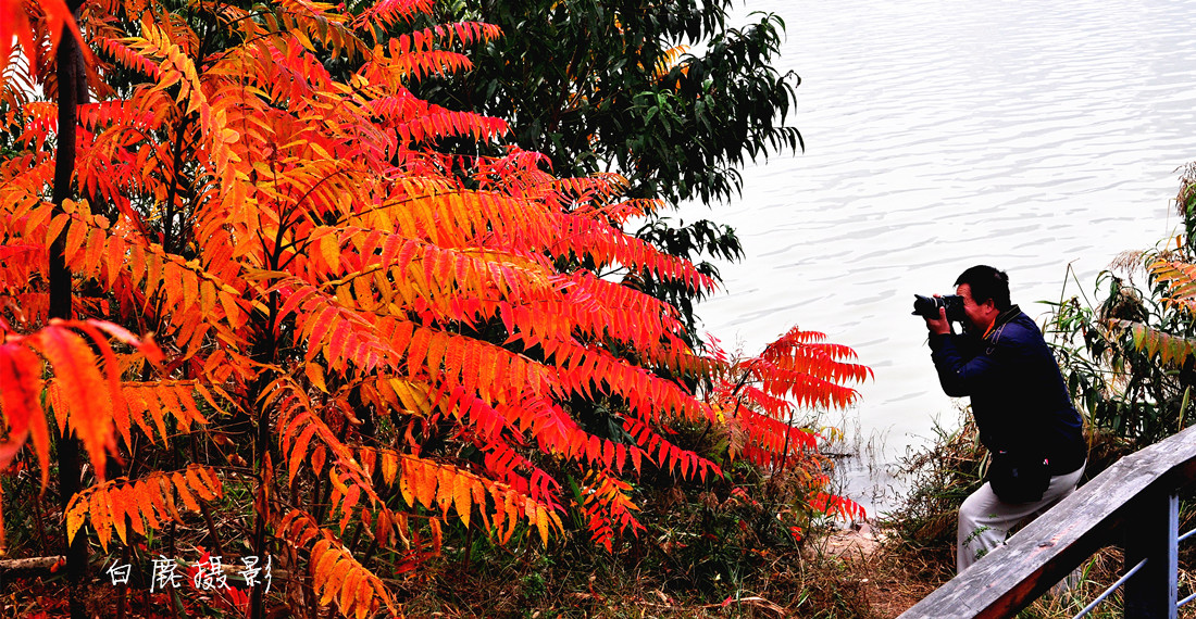 DSC_0026_副本.jpg