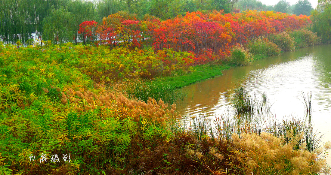 P1260266_副本.jpg