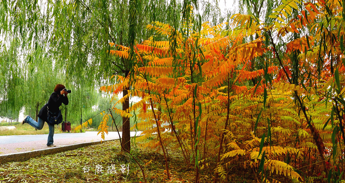 P1260219_副本.jpg