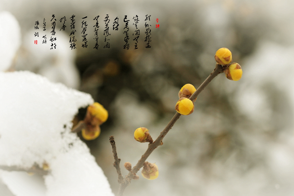 IMG_7479_副本.jpg