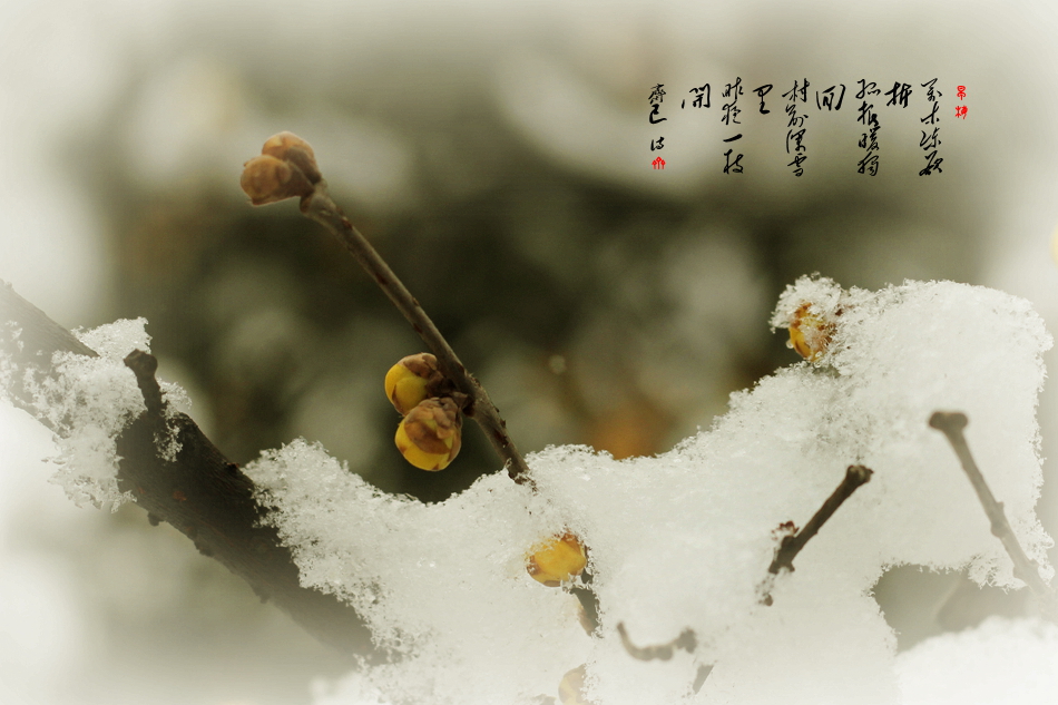 IMG_7478_副本.jpg