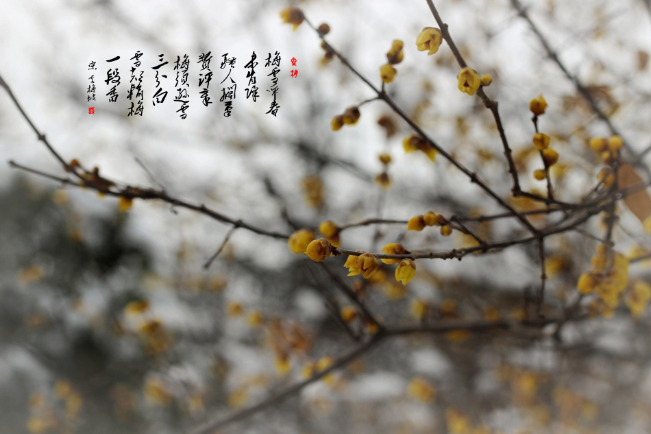 IMG_7469_副本.jpg