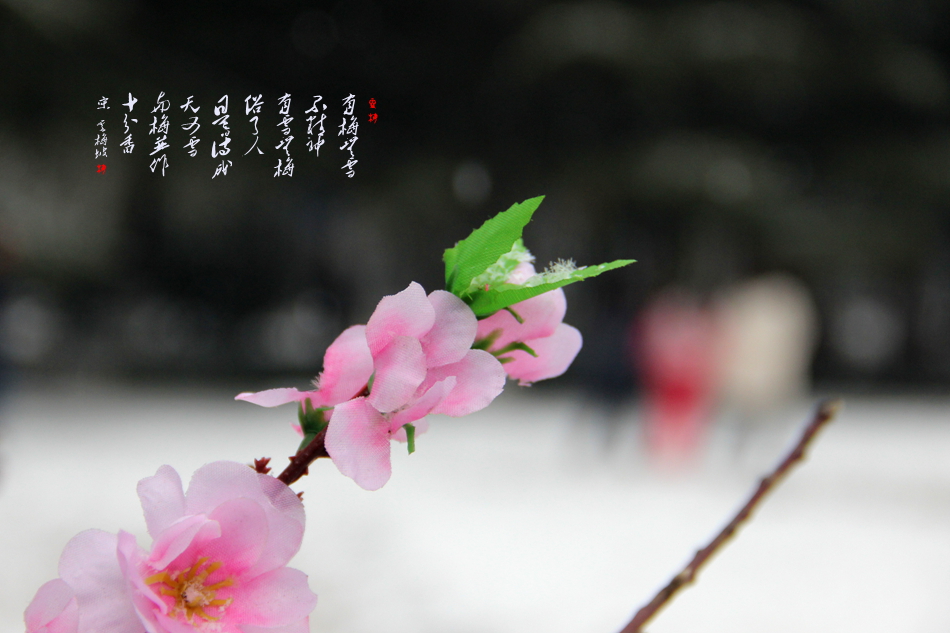IMG_7404_副本.jpg