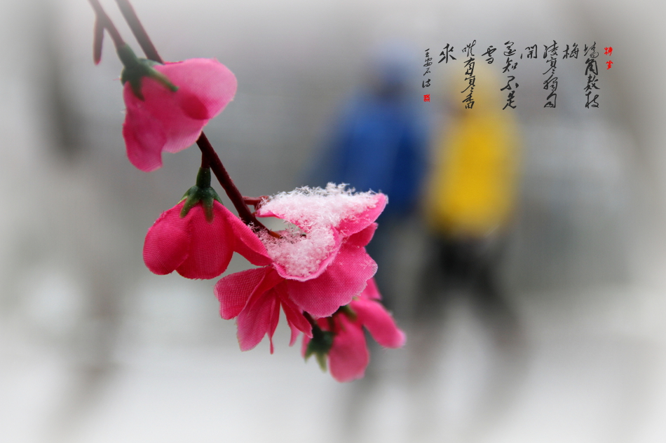 IMG_7380_副本.jpg