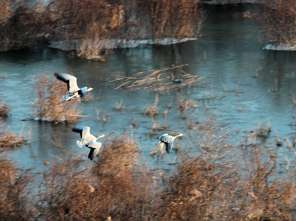 IMG_5246_副本.jpg