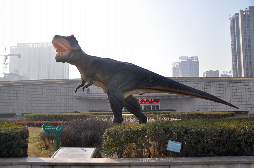 DSC_0025_conew1.jpg