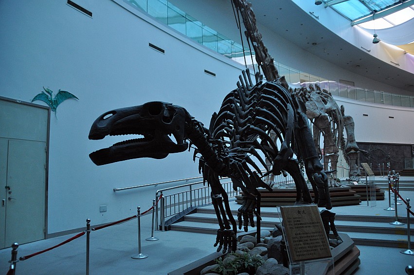 DSC_0036_conew1.jpg