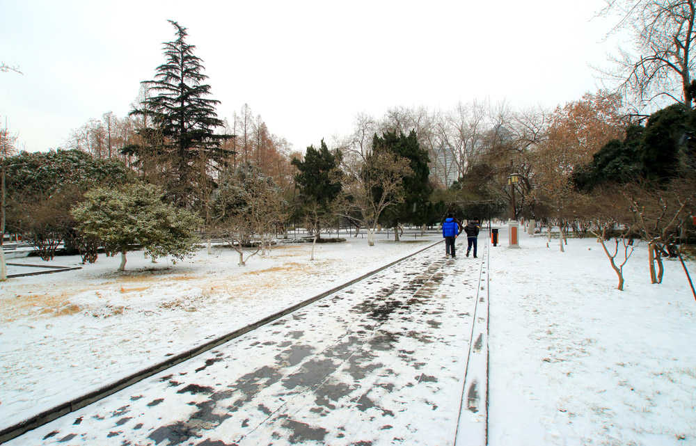 _MG_7538.jpg
