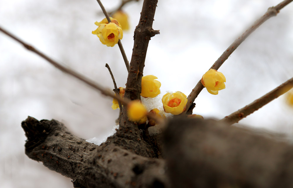 _MG_7599.jpg