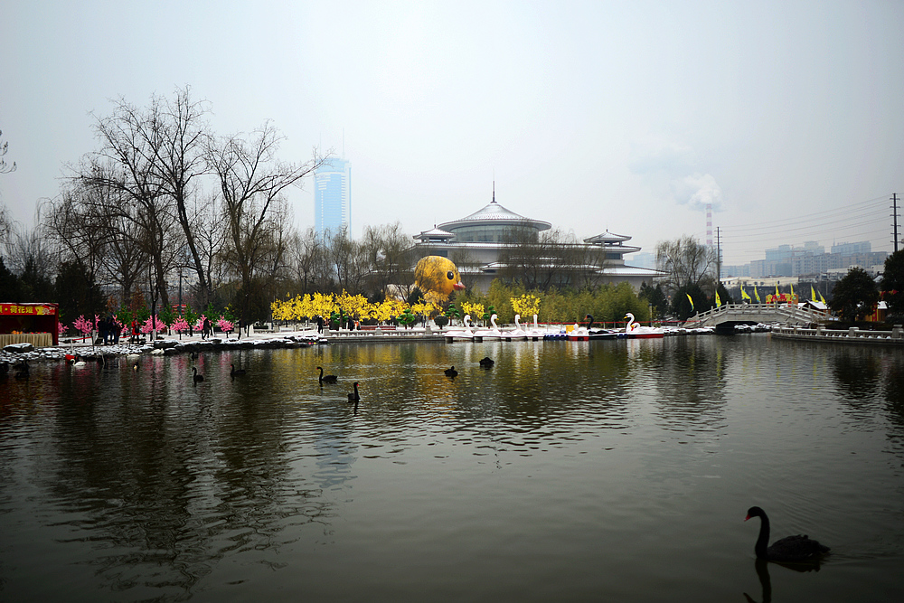 雪中小雁.jpg