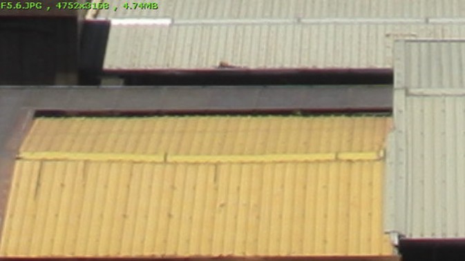 5-14020Q31313145.jpg