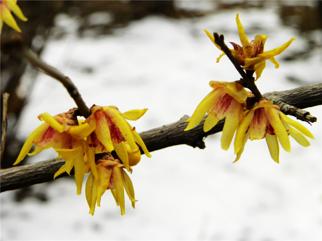 DSCN5901.JPG