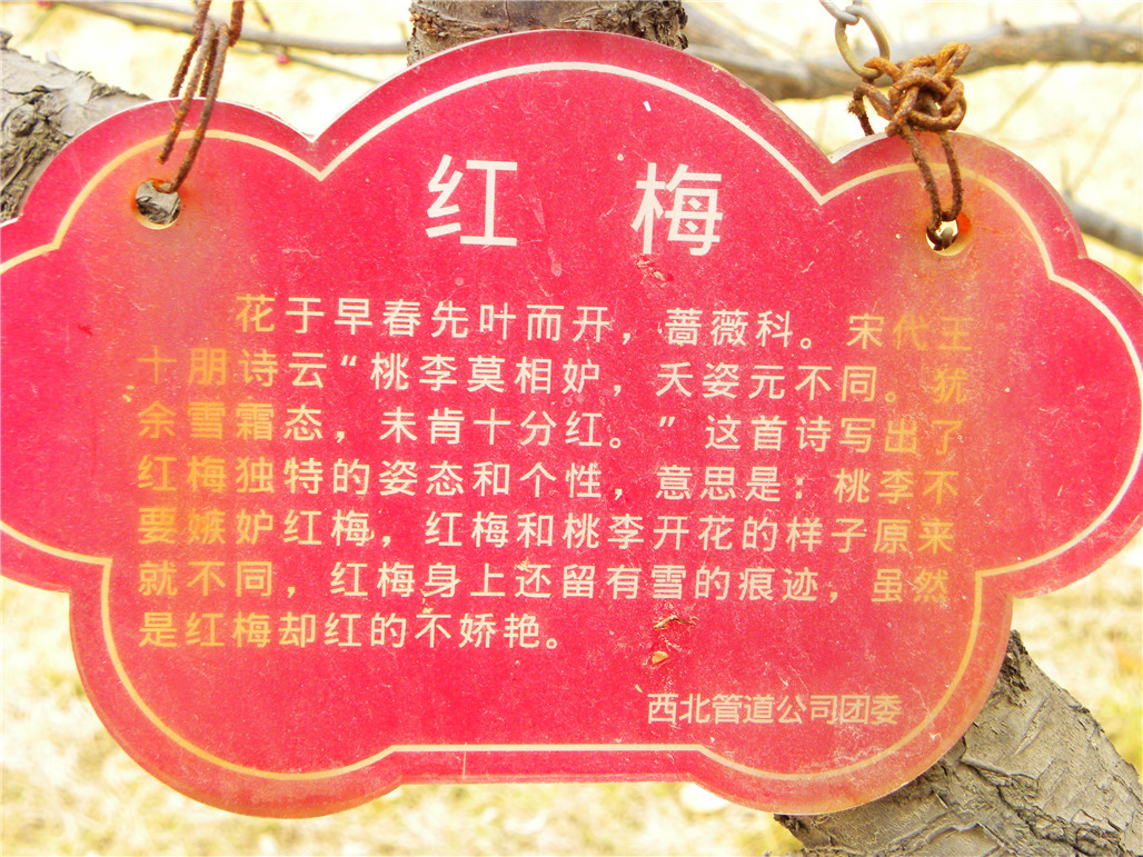 DSCN5955.JPG