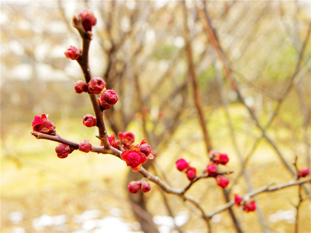 DSCN5962.JPG