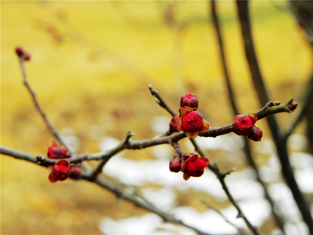 DSCN5965.JPG