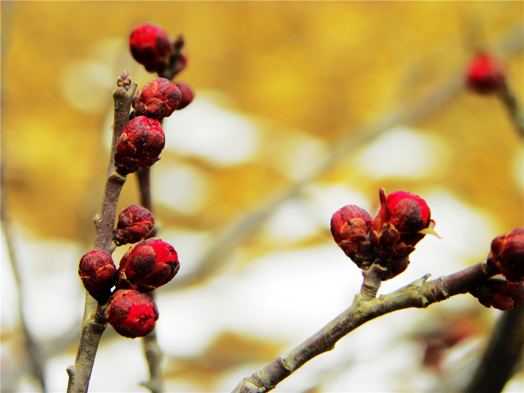 DSCN5980.JPG
