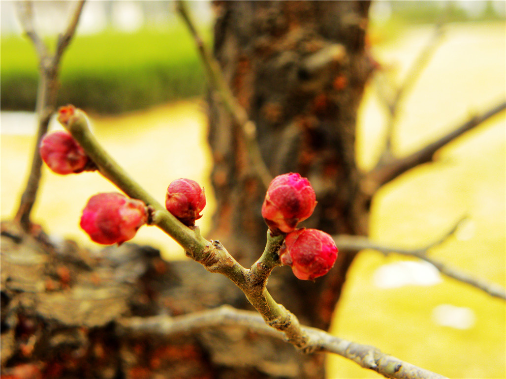 DSCN5993.JPG