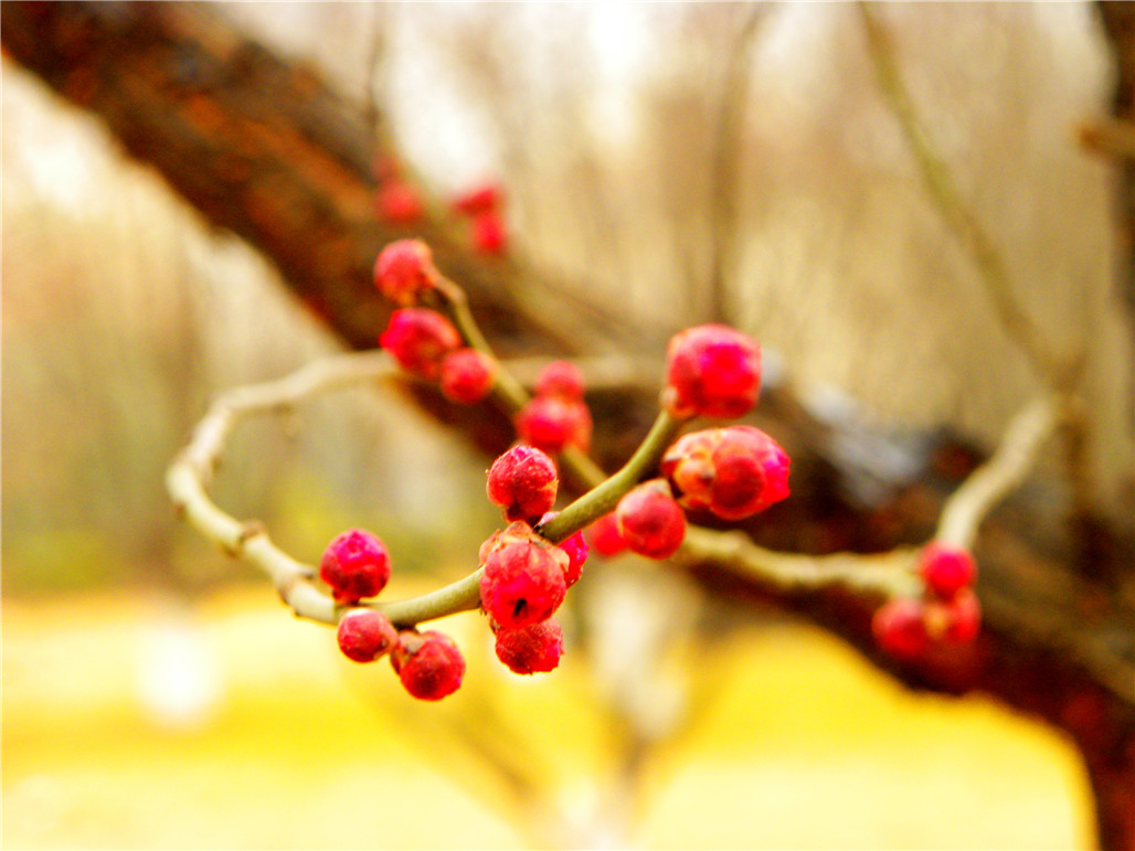DSCN6011.JPG