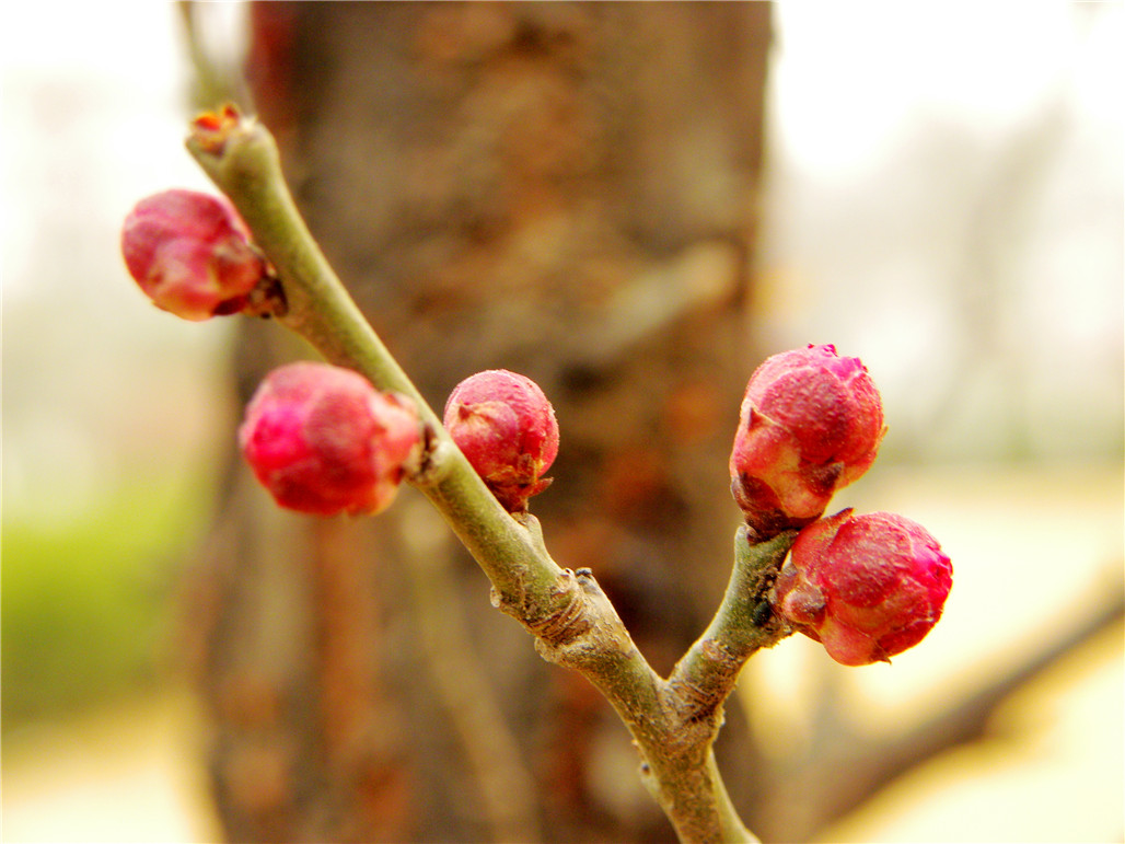 DSCN6019.JPG