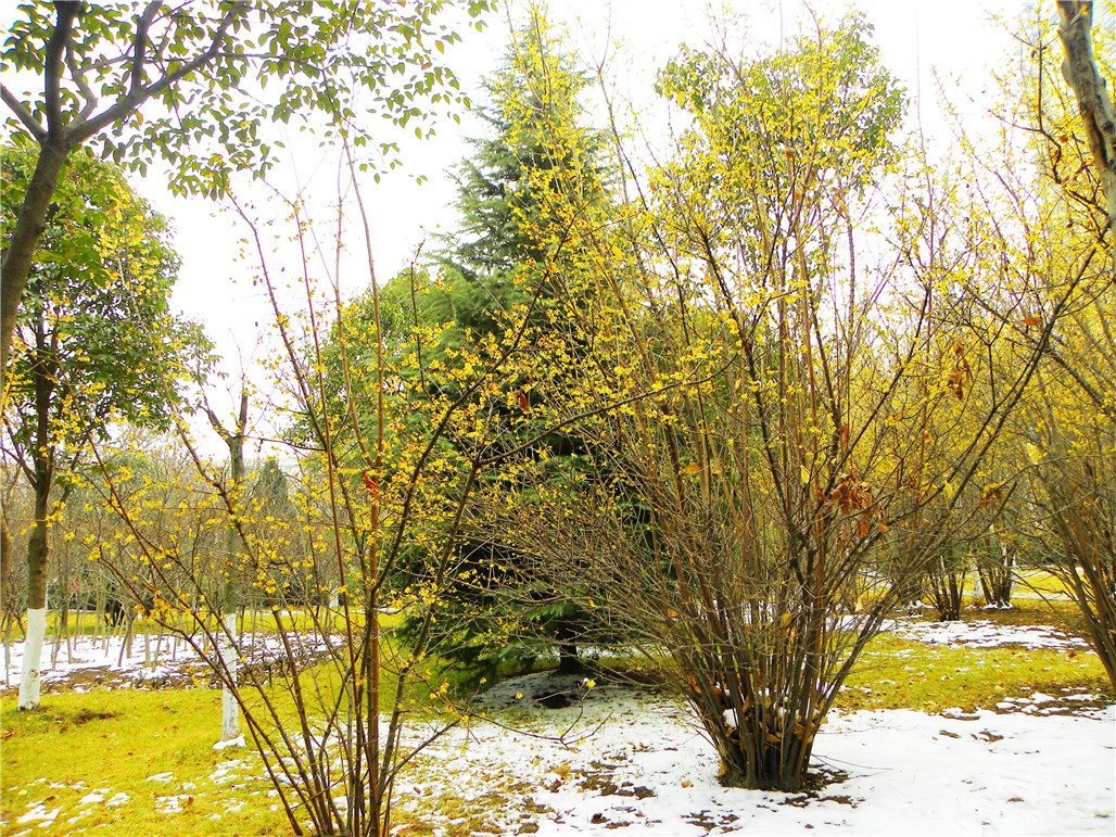 DSCN5917.JPG