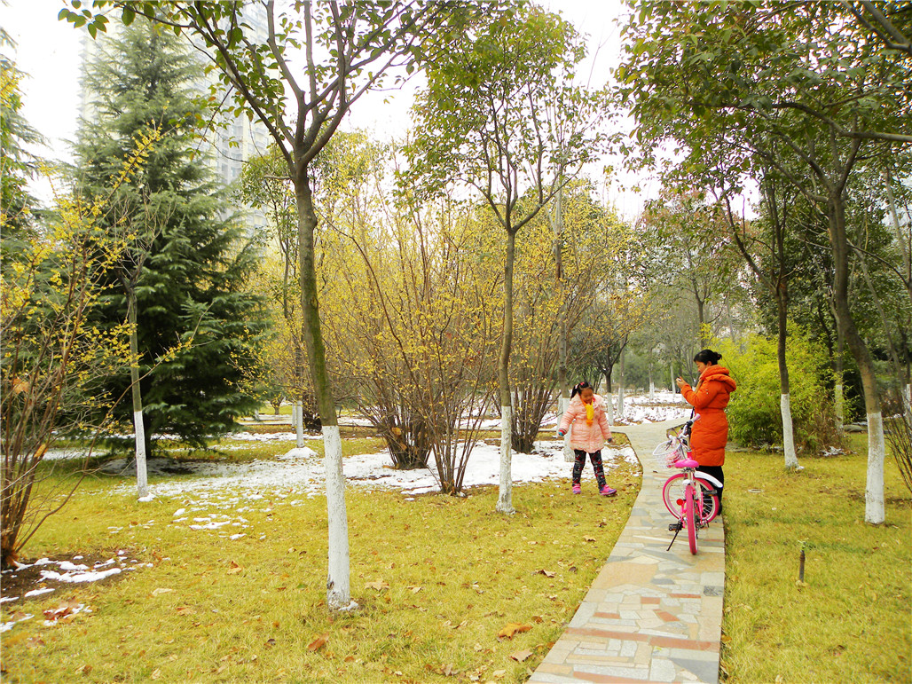 DSCN5925.JPG