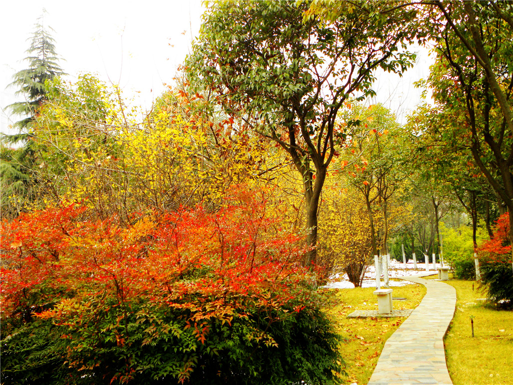 DSCN5933.JPG